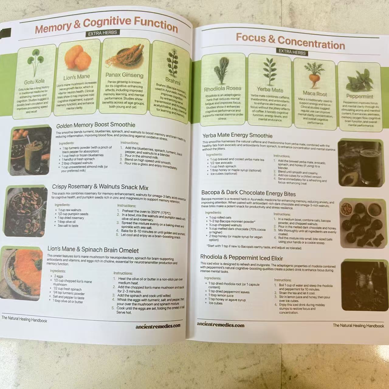 Руководство по естественному з – обзор и цена Herbal Holistic Wellness